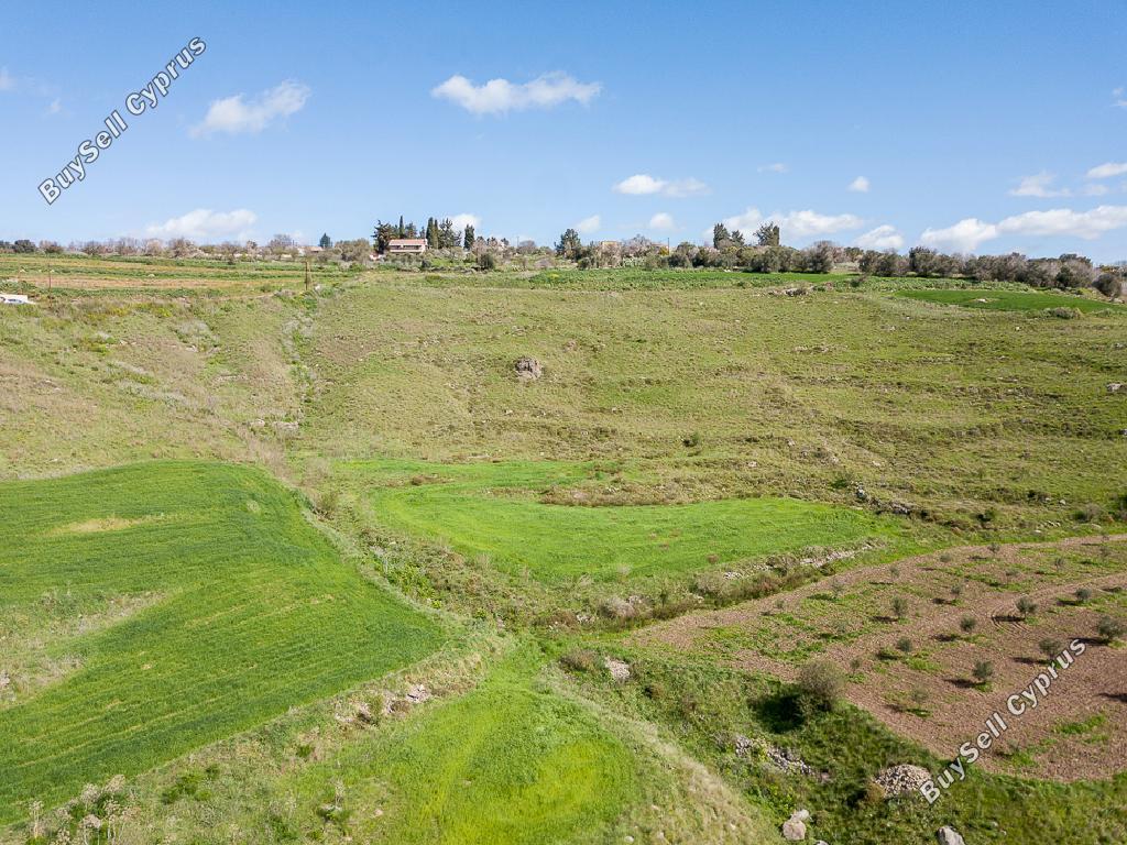 land for sale drynia paphos 1158451 image 16009269