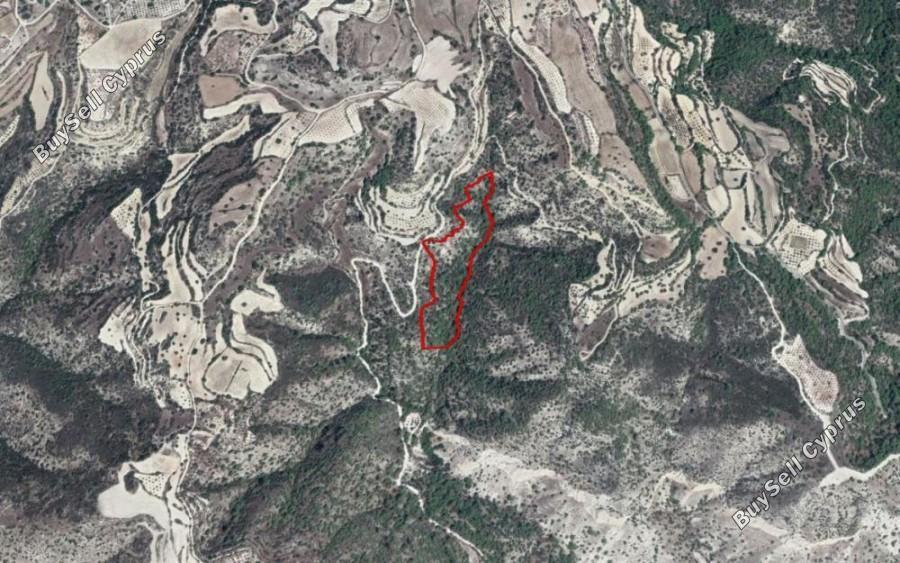 29767 SQM Land for sale in Amargeti, Paphos 16685722