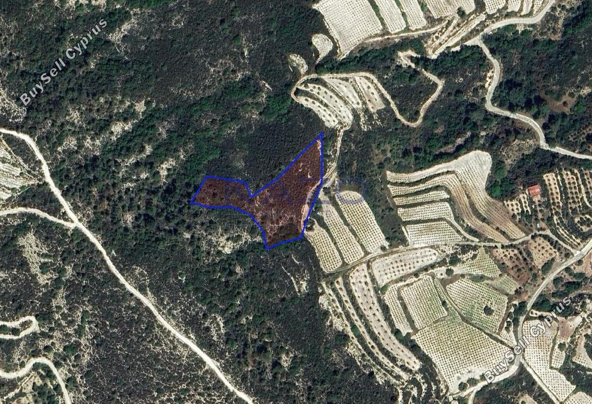 6355 SQM Land for sale in Kapileio, Limassol 13801752