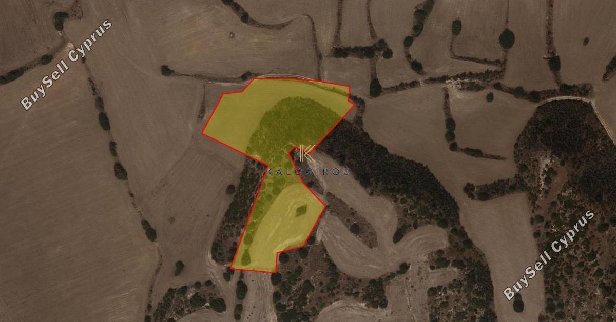 land for sale agios theodoros larnacas larnaca 8468651 image 15193590