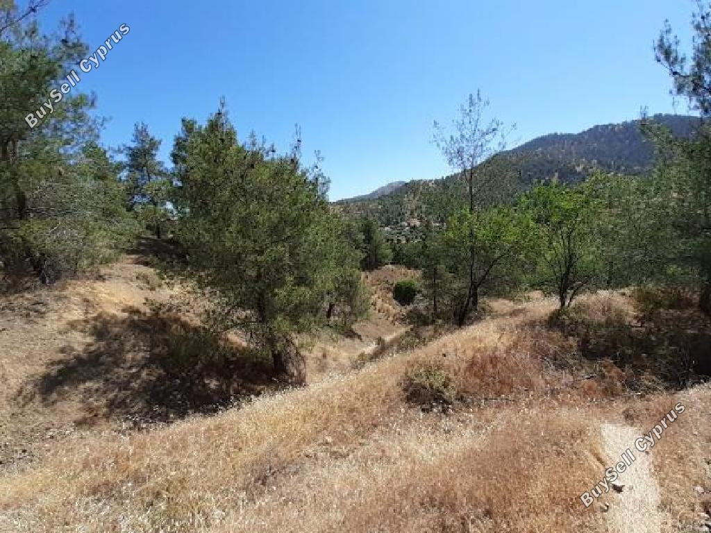 land for sale agios theodoros soleas nicosia 945651 image 9440049