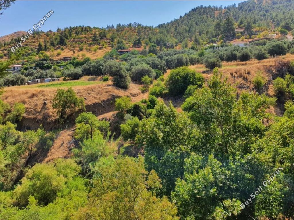 land for sale agios theodoros soleas nicosia 945751 image 847655