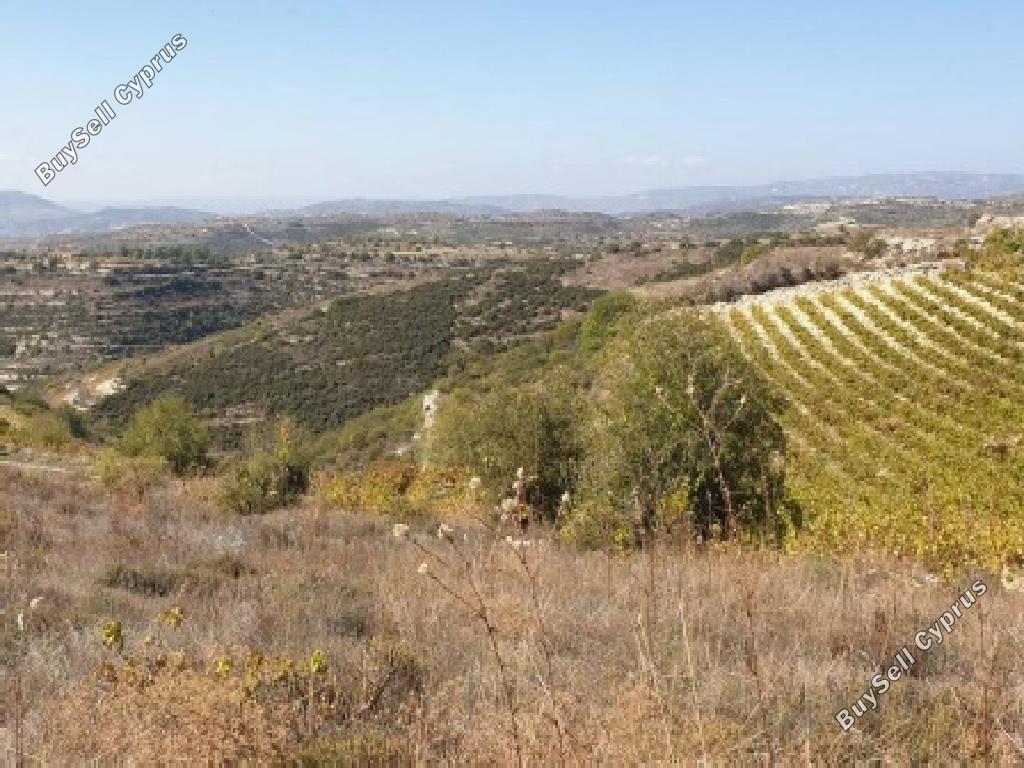 9031 SQM Land for sale in Vasa Kilaniou, Limassol 15597129