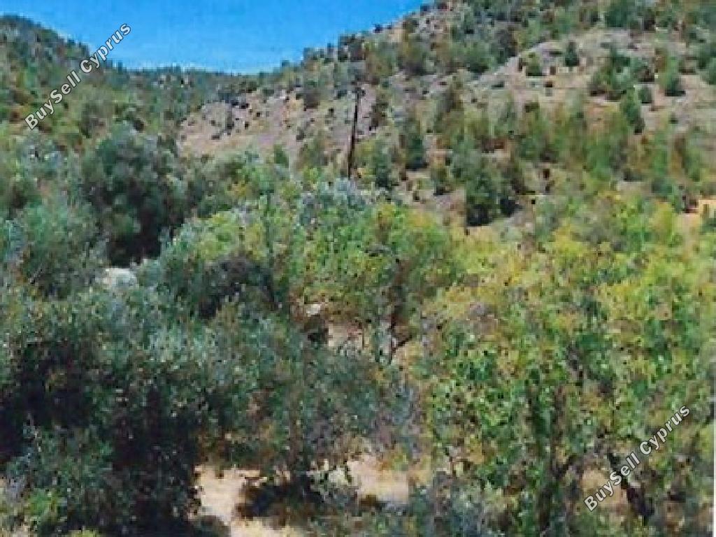 10814 SQM Land for sale in Fikardou, Nicosia 15597580
