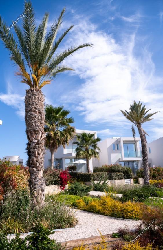 4 bedroom detached house for sale coral bay paphos 7737851 image 10195554