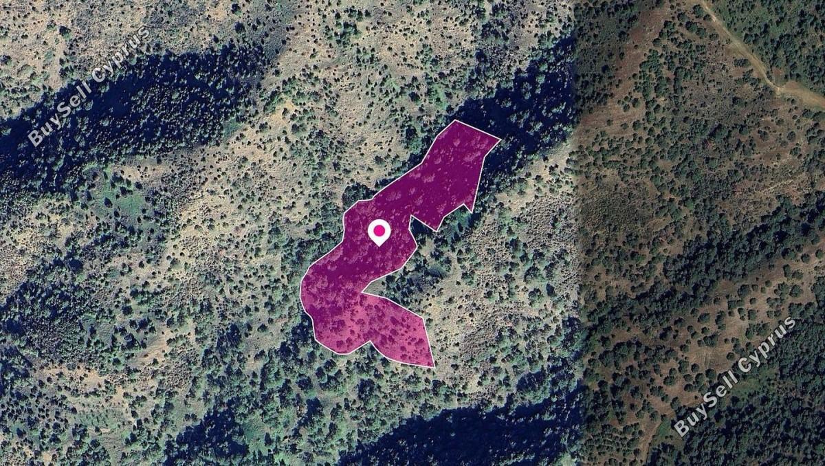 land for sale pomos paphos 8396061 image 14823557