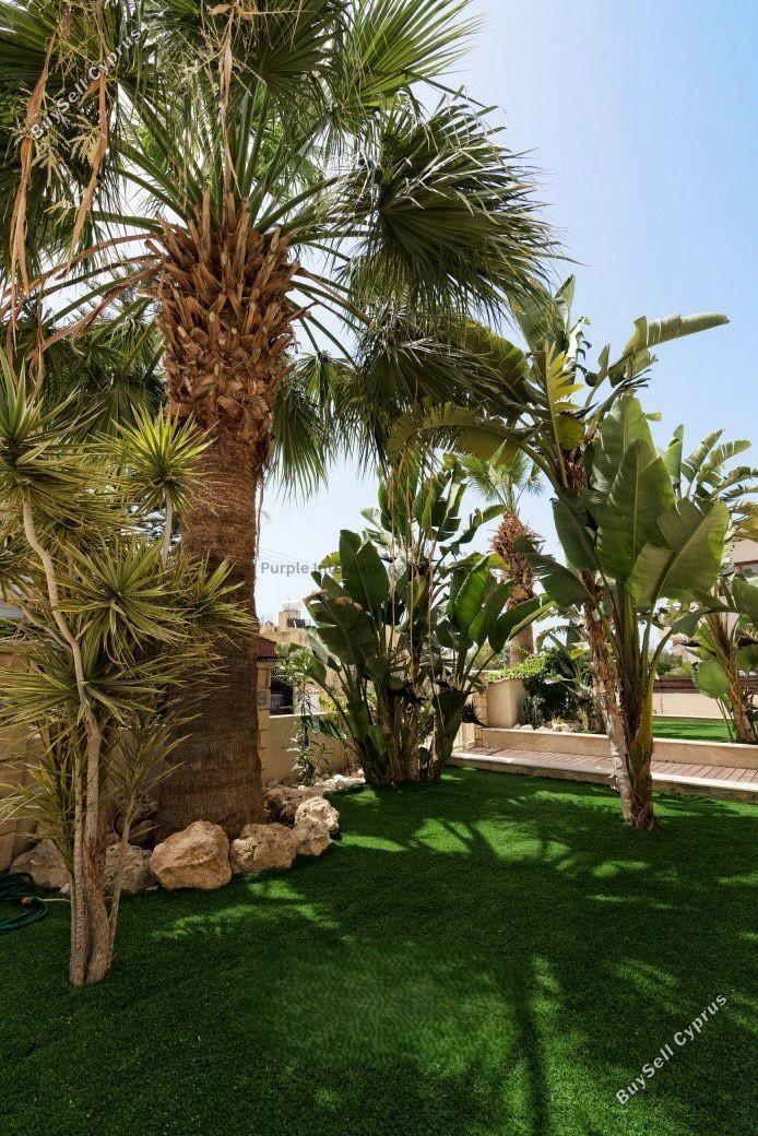 6 bedroom detached house for sale kato paphos universal paphos 7547161 image 10310635