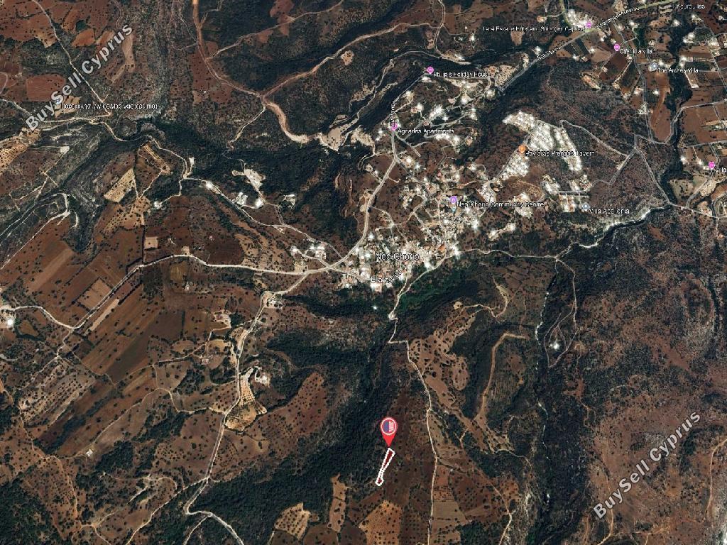 land for sale neo chorio paphos 1785161 image 15597593