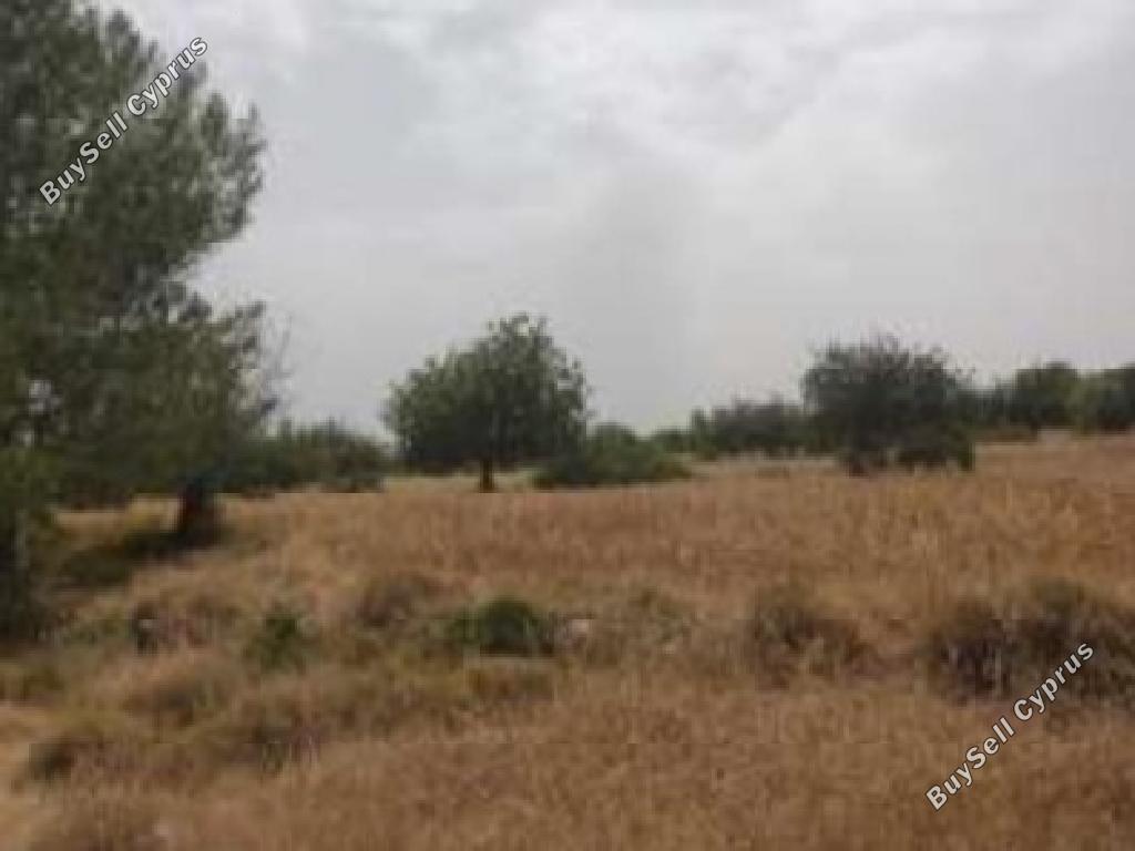 land for sale neo chorio paphos 1785161 image 15597595