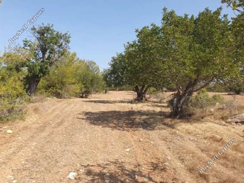 land for sale neo chorio paphos 1785161 image 17624494