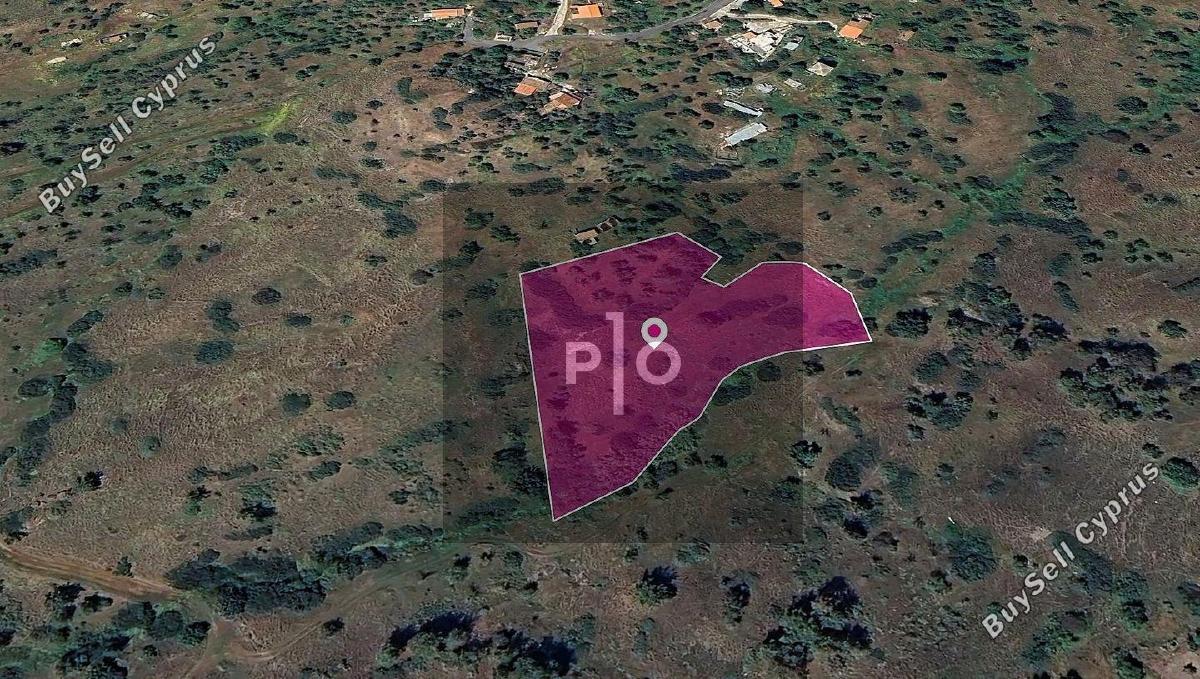 land for sale pigenia nicosia 8275161 image 15158030