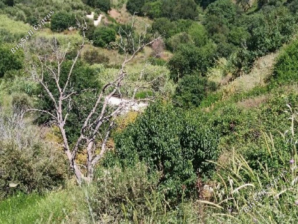 land for sale theletra paphos 942161 image 15598712