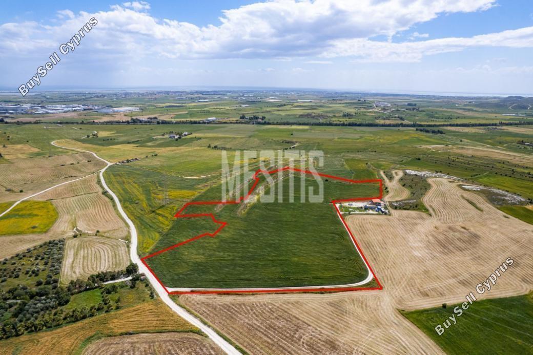 44482 SQM Land for sale in Kalo Chorio Larnacas, Larnaca 10516554