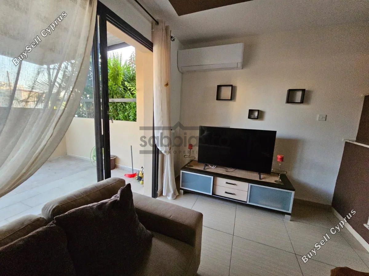 2 bedroom apartment rented tombs of the kings paphos 8736361 image 16348018