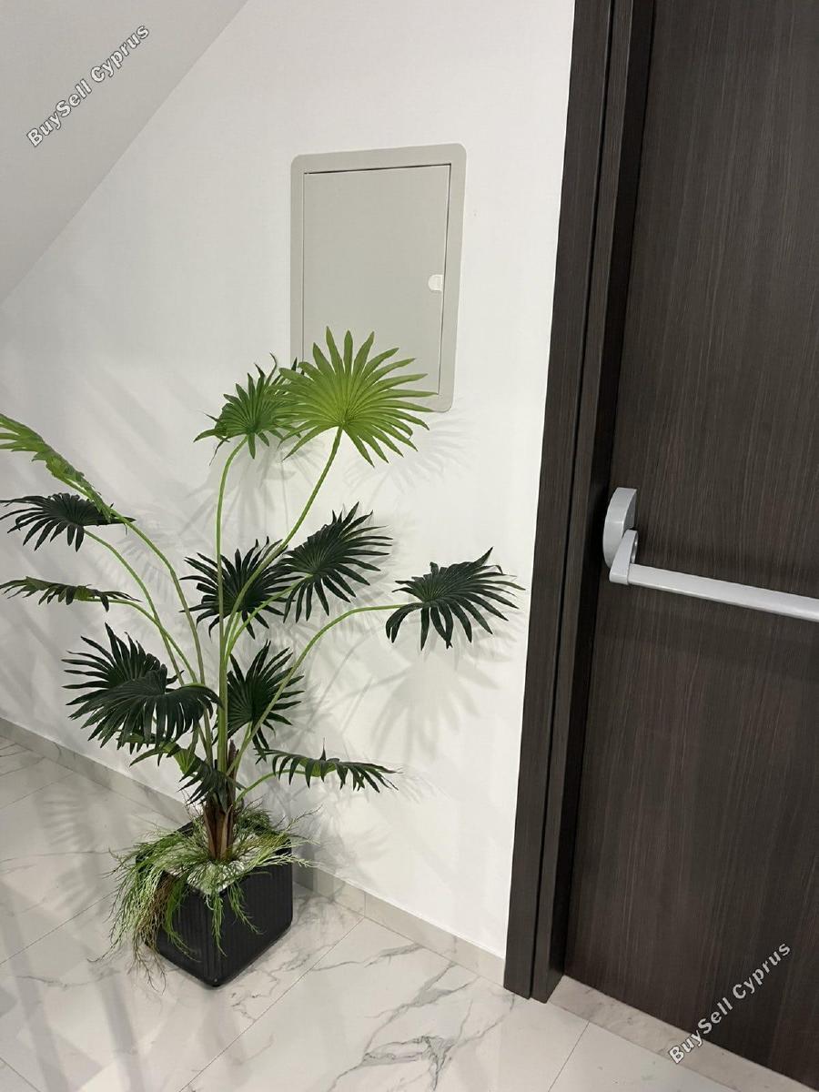 2 bedroom apartment for rent neapolis limassol 8863461 image 17167366