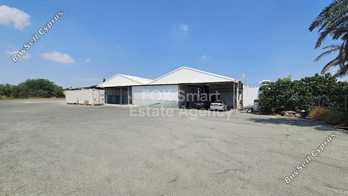 studio warehouse for rent aglantzia nicosia 1474461 image 5197059