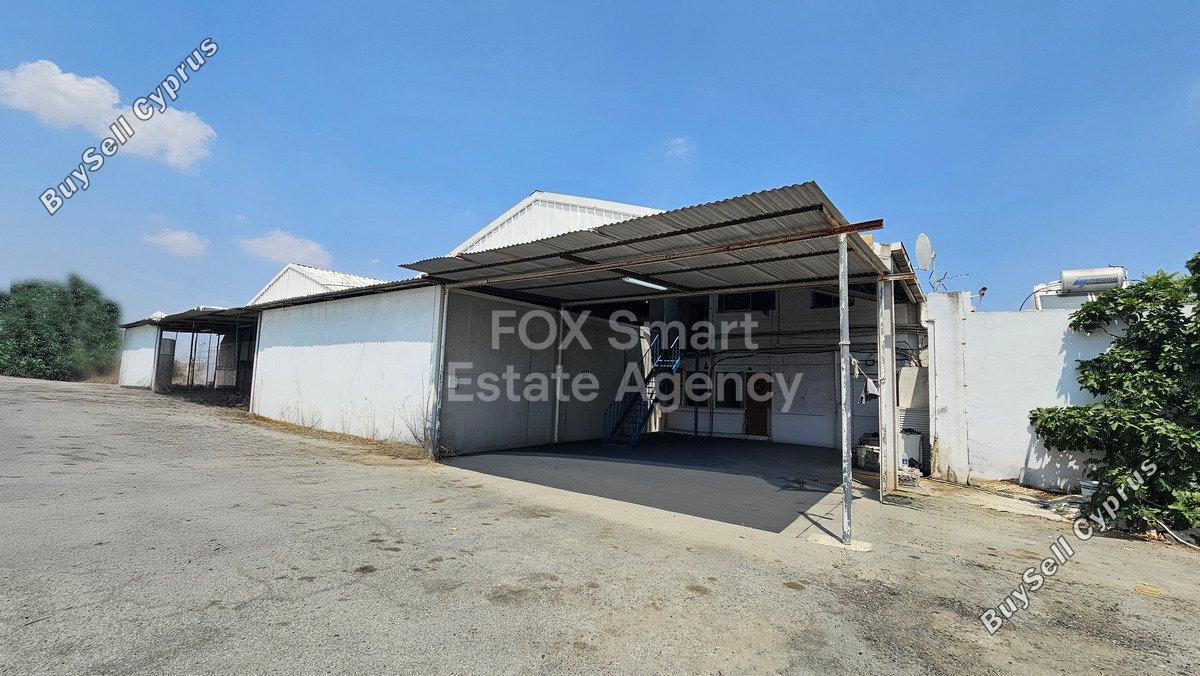 studio warehouse for rent aglantzia nicosia 1474461 image 5197062