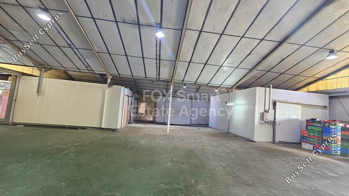 studio warehouse for rent aglantzia nicosia 1474461 image 5197089