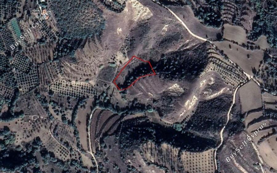 5400 SQM Land for sale in Giolou, Paphos 16685794