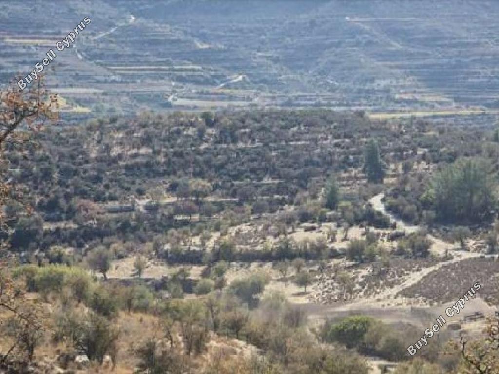 land for sale malia limassol 1562561 image 17343312
