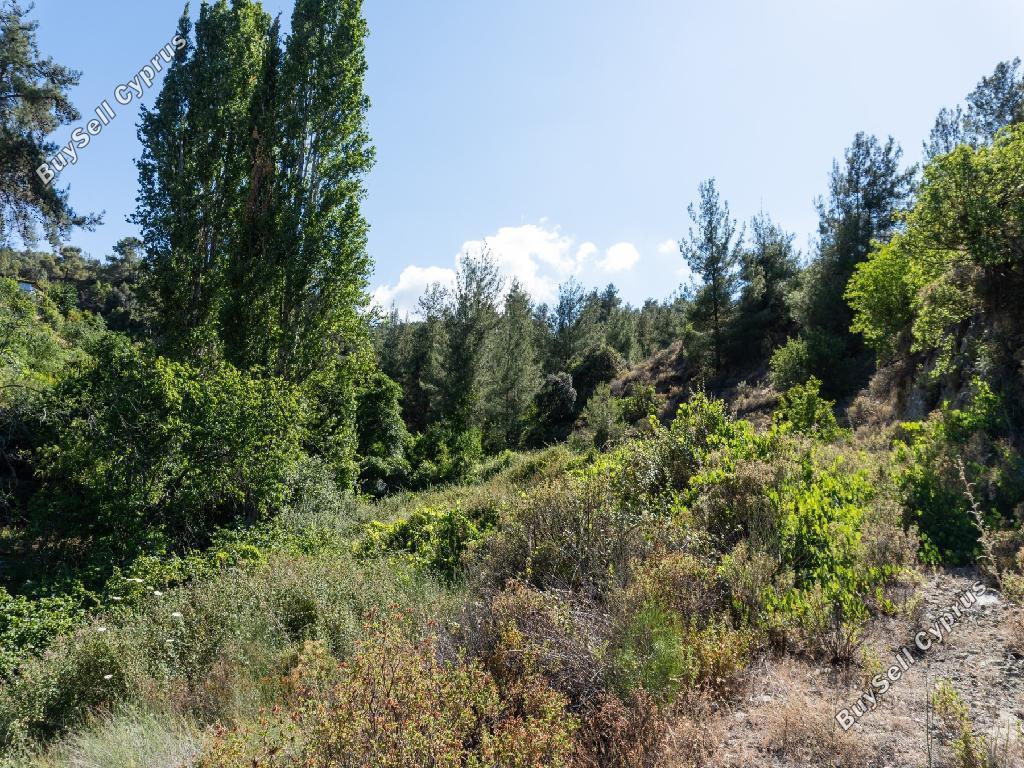 land for sale kakopetria nicosia 1638661 image 4154952