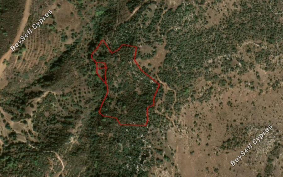 land for sale neo chorio paphos 1355661 image 15533344