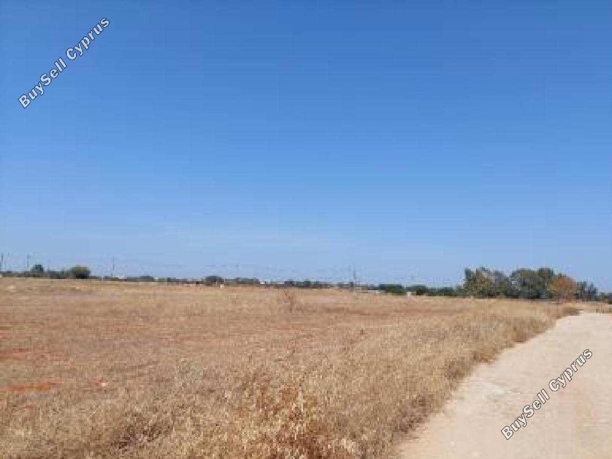 land for sale xylofagou larnaca 8726661 image 16333217