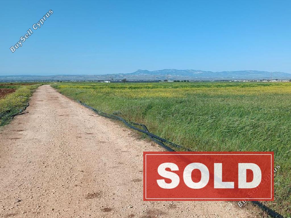 land sold orounta nicosia 1877661 image 6982822
