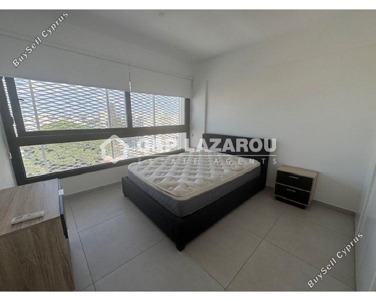 1 bedroom apartment for rent agios dometios nicosia 8570761 image 16334461