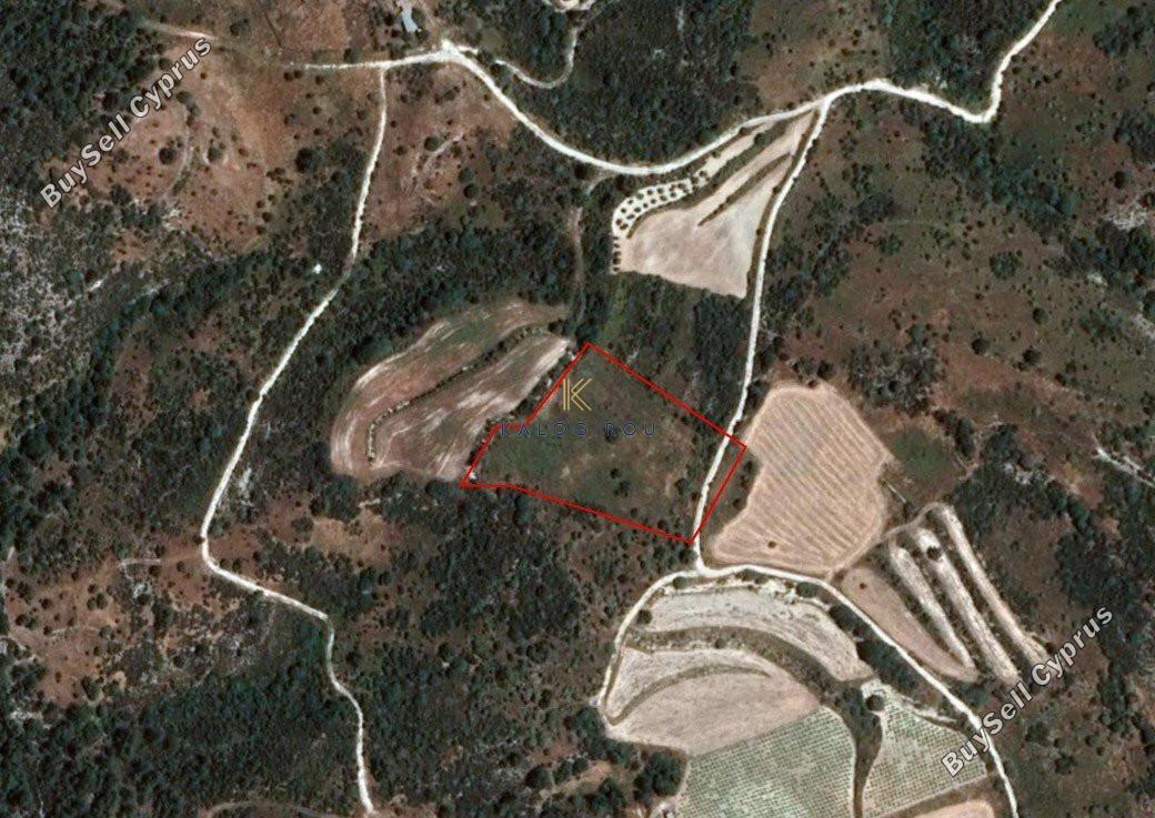 land for sale dora limassol 1194761 image 5570325