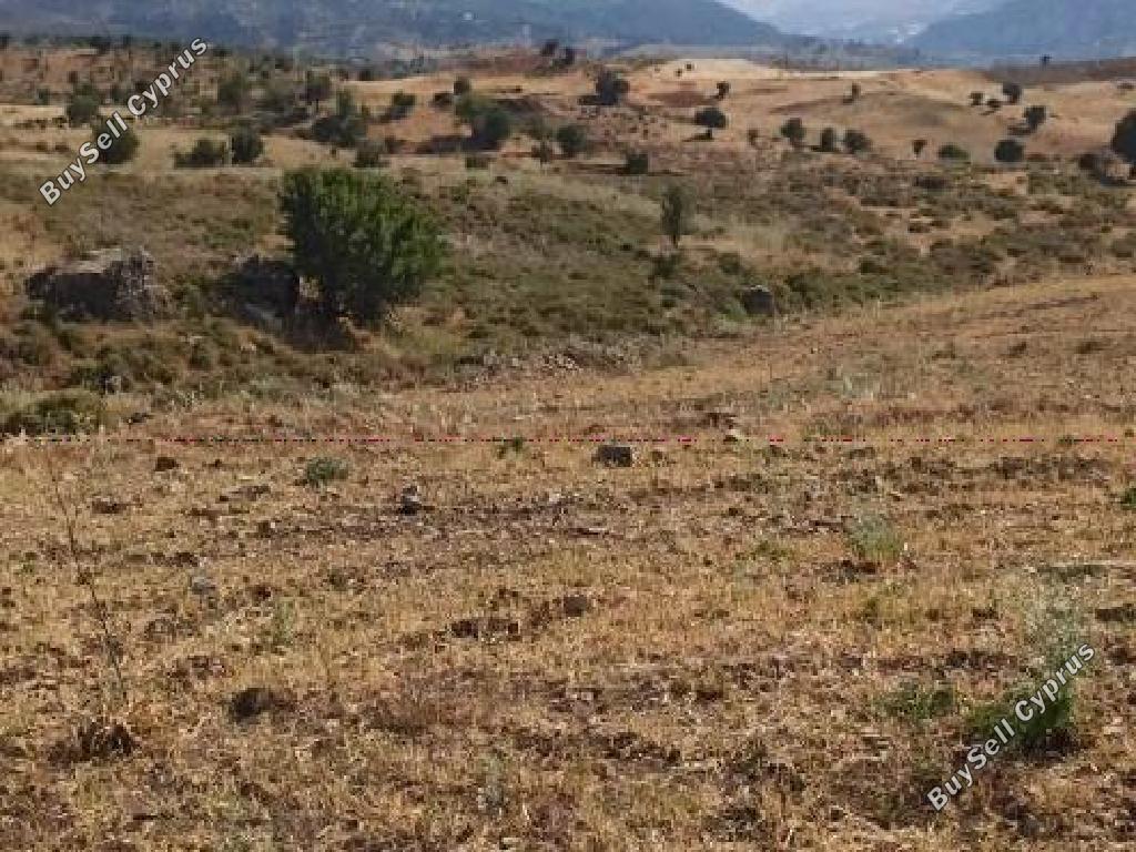 land for sale kelokedara paphos 7740761 image 15596327