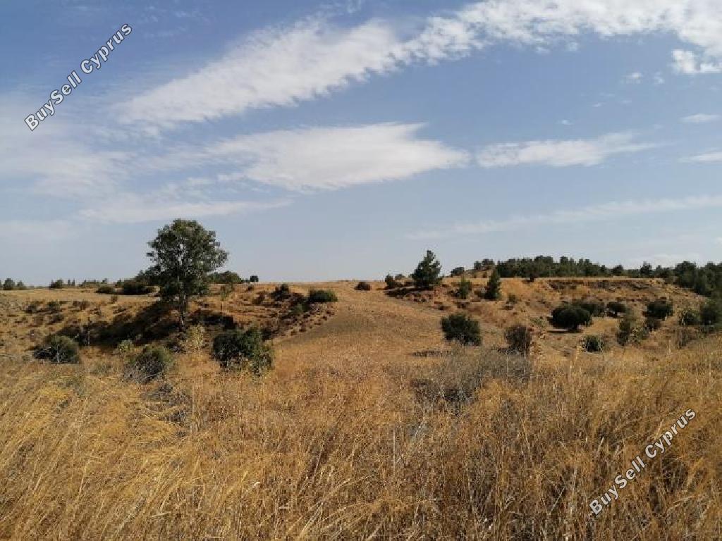 land for sale klirou nicosia 945761 image 15603366