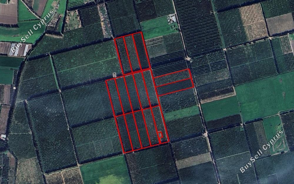 land for sale akrotiri limassol 828861 image 15728180