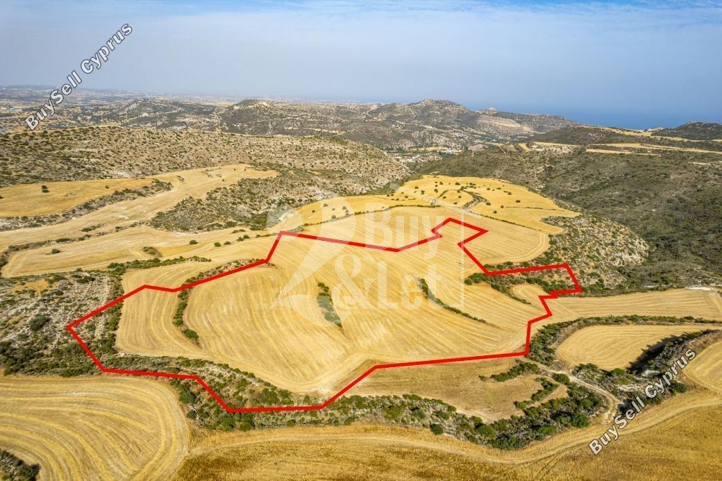 land off market choirokoitia larnaca 1444861 image 9684178