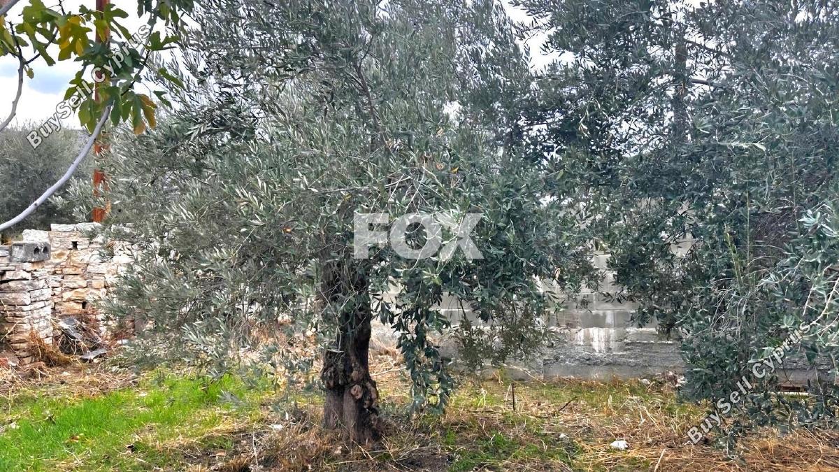 plot for sale silikou limassol 8981861 image 17945258