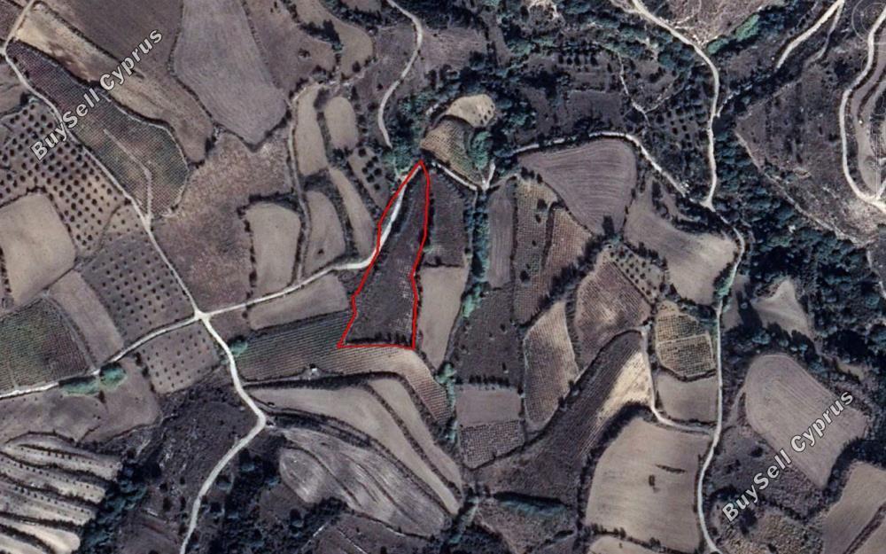 6689 SQM Land for sale in Drynia, Paphos 15178585