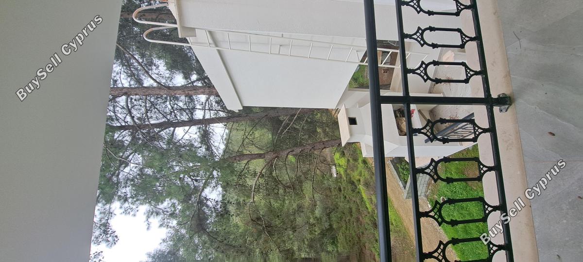3 bedroom detached house rented moniatis limassol 8396961 image 15029846