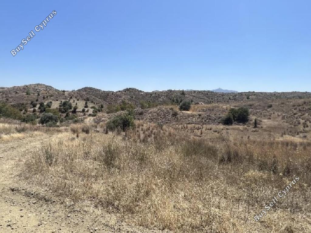 land for sale pera orinis nicosia 945961 image 7641542