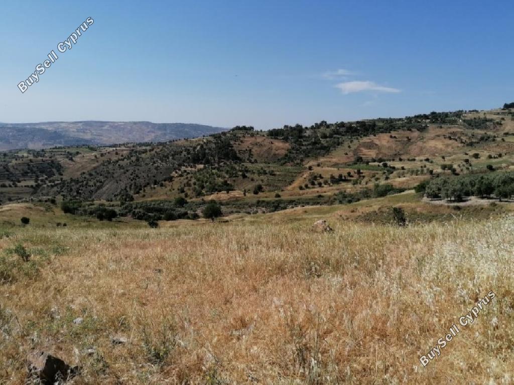 land for sale statos agios fotios paphos 1023961 image 15599424