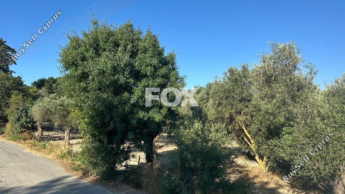 land for sale polemi paphos 1842071 image 10048328