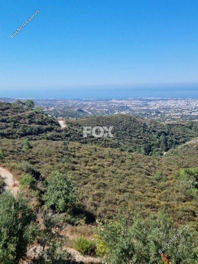 land for sale tsada paphos 1160071 image 5535754