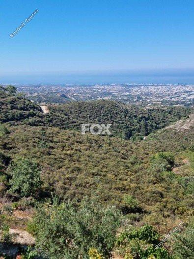 land for sale tsada paphos 1160071 image 5535757