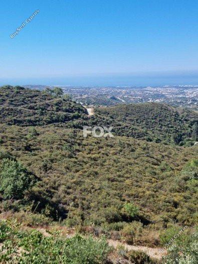 land for sale tsada paphos 1160071 image 5535759