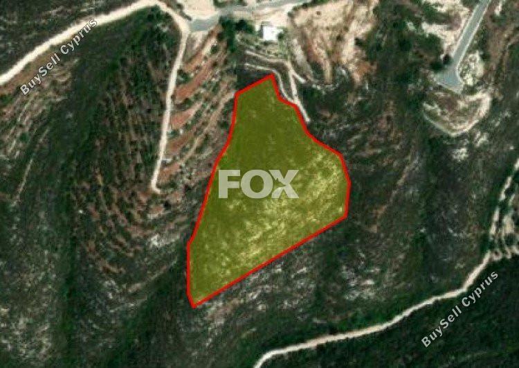 land for sale tsada paphos 1160071 image 5535760