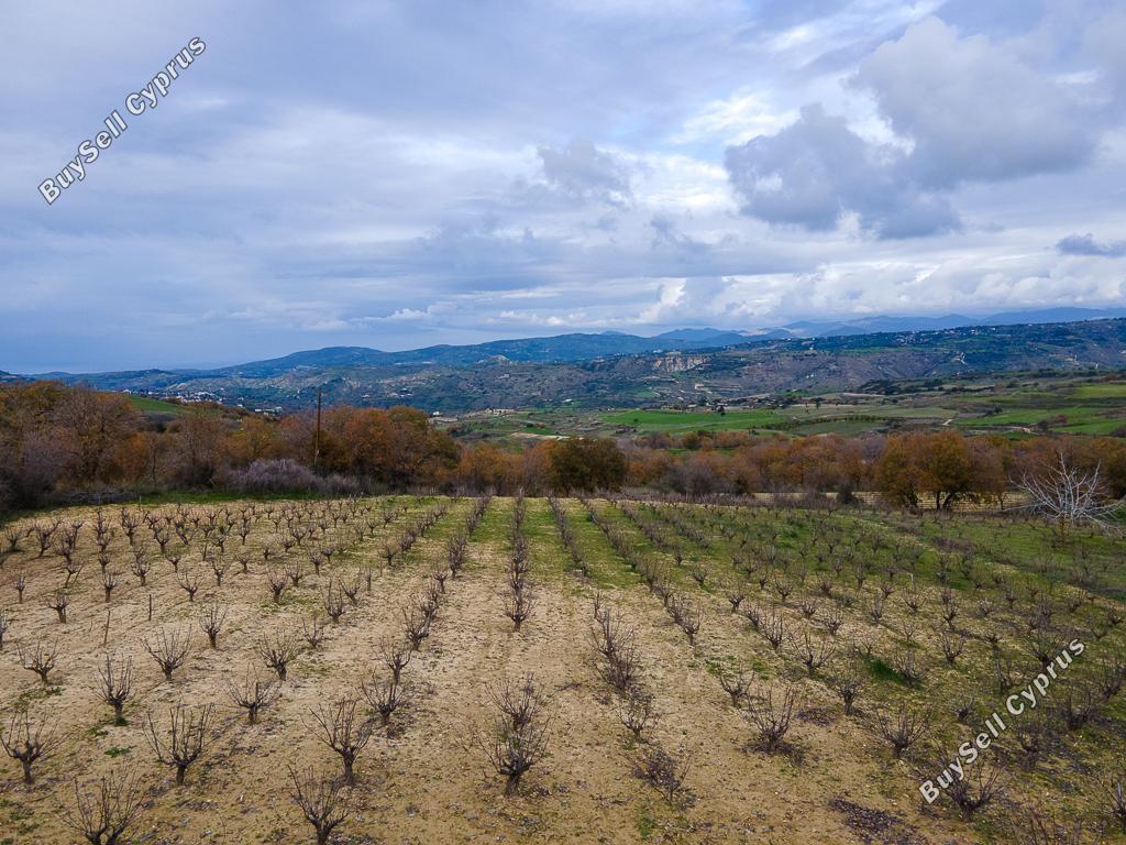 land for sale stroumbi paphos 8532171 image 16306362