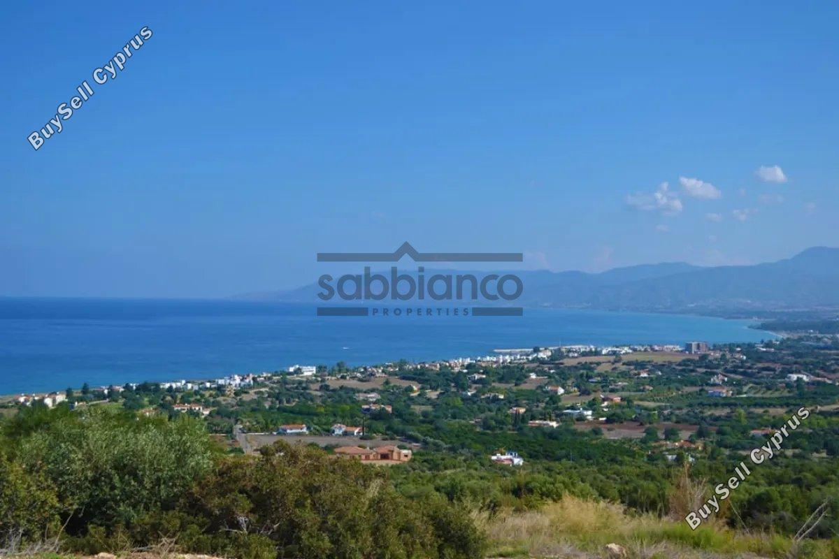 3 bedroom detached house for sale neo chorio paphos 8746271 image 16440718