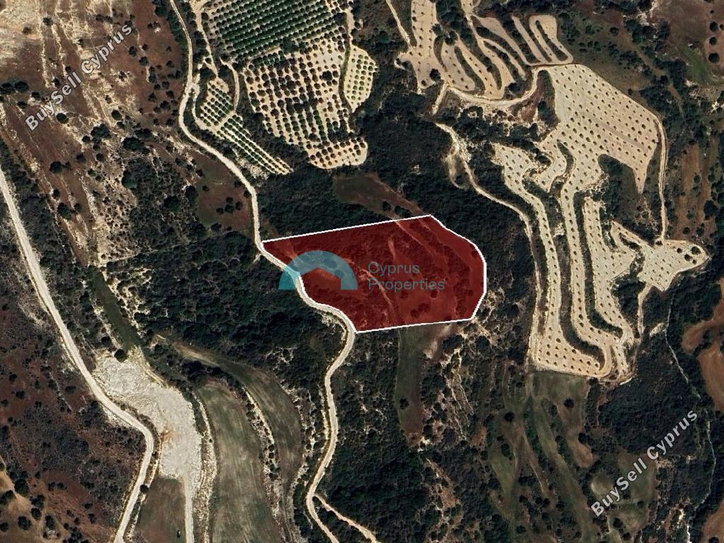 land for sale drousia paphos 8537271 image 16020698