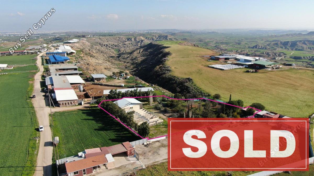 studio block of flats sold pera orinis nicosia 1675271 image 4327313