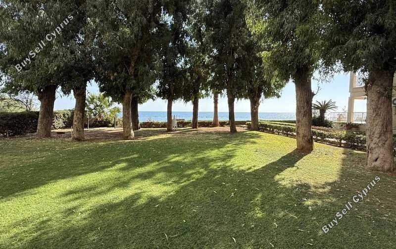2 bedroom apartment for rent potamos germasogeias limassol 8587371 image 15684006
