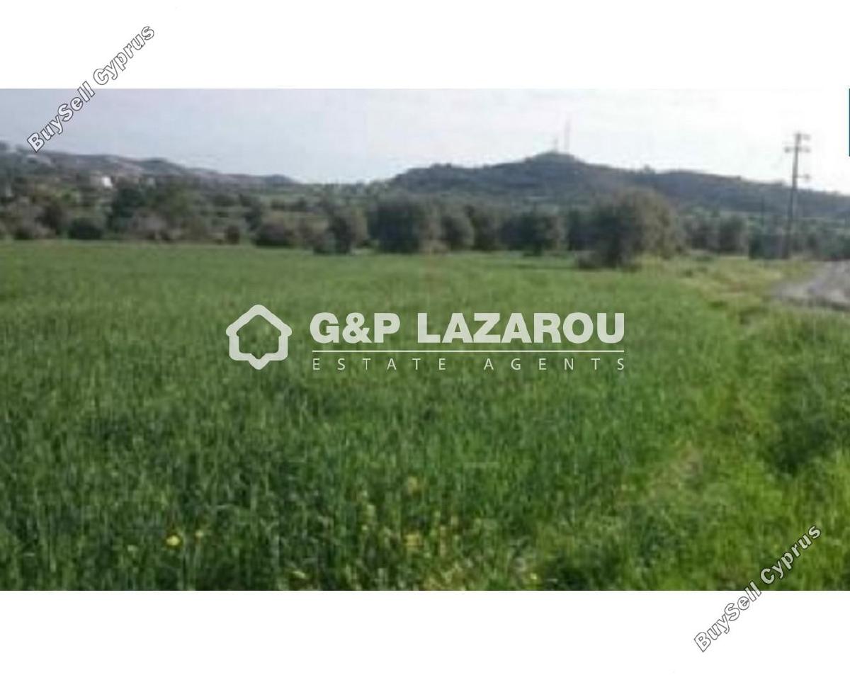 land for sale anglisides larnaca 1689371 image 6007196